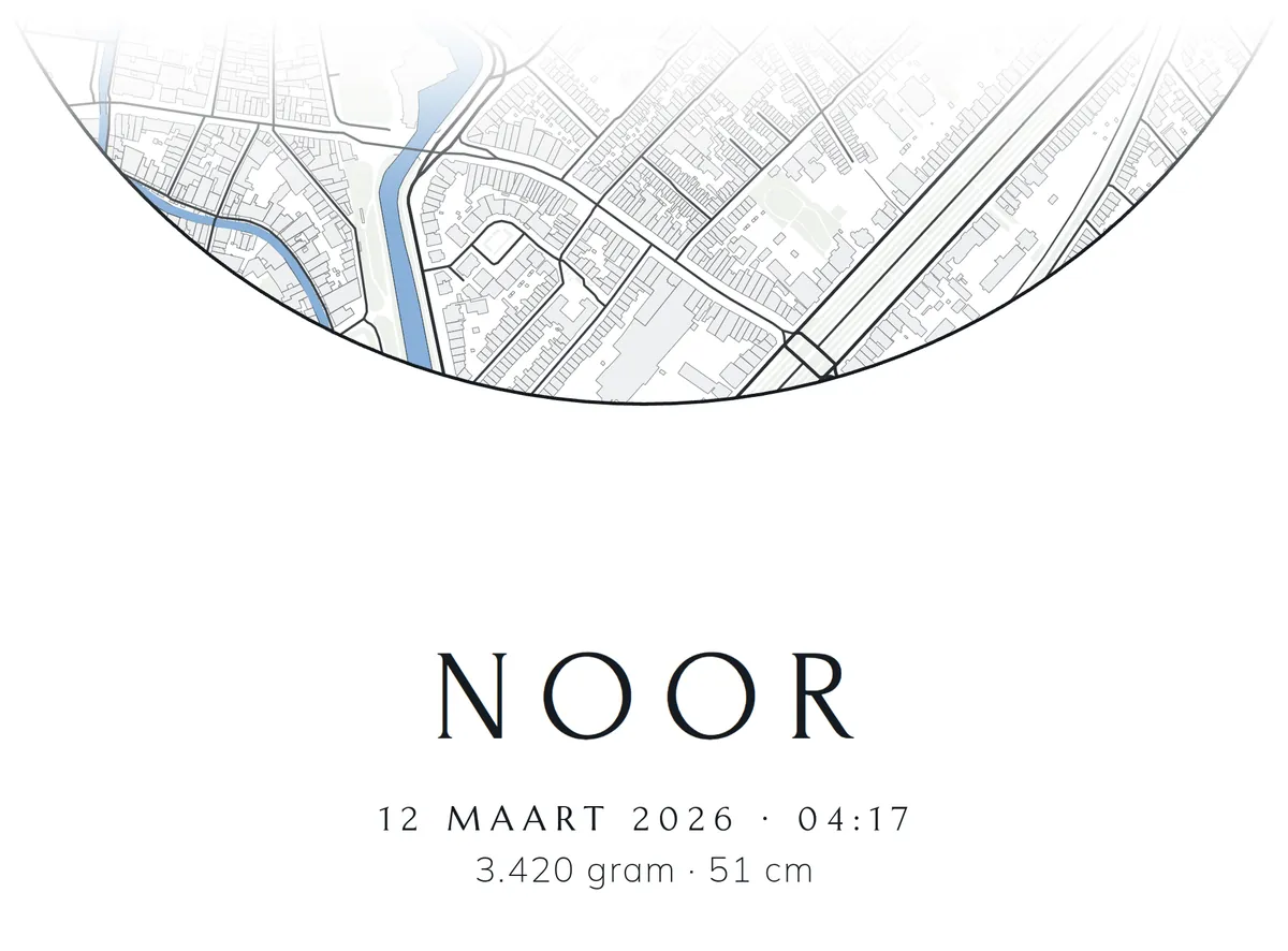 Geboorteposter met de kaart van de geboorteplaats en daaronder de naam, de datum, de tijd, het gewicht en de lengte